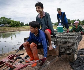 Replay ARTE Journal - Thaïlande : les réfugiés birmans n'ont plus à se cacher