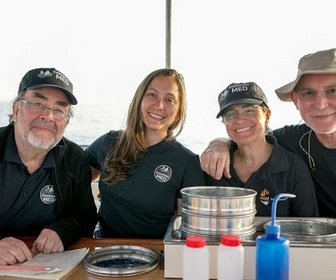 Replay Plastique et vie marine : une cohabitation à la dérive