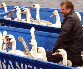 Replay Hambourg, la ville des cygnes - GEO Reportage