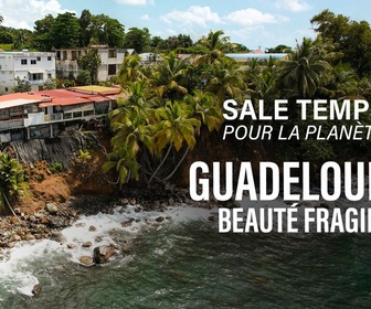 Replay Sale temps pour la planète - Guadeloupe, beauté fragile