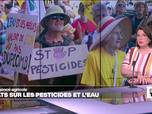 Replay Élément Terre, la quotidienne - France : réintroduction de pesticides, partage de l'eau et loup en débat au Sénat