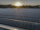 Replay Développer une agriculture durable - Bonnes nouvelles de la planète