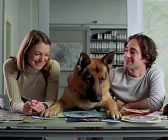 Replay Rex, chien flic - Ondes troubles
