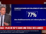 Replay 60 minutes Fauvelle - Jeudi 28 mai