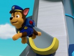 Replay Paw Patrol, la Pat'Patrouille - La soirée cinéma