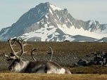 Replay Norvège, Dovrefjell-Sunndalsfjella - Les parcs naturels... en Minuscule