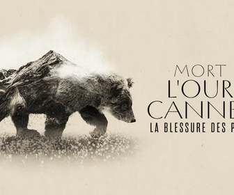 Replay La ligne bleue