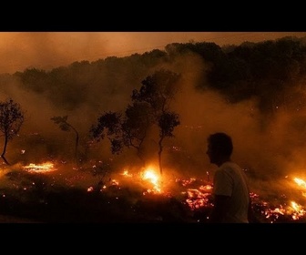 Replay La Cour des comptes épingle l'UE pour sa lutte contre les incendies