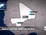 Replay Journal de l'Afrique - Attaque au Nord- Mali, l'armée malienne assure avoir pris le dessus sur les rebelles du FLA