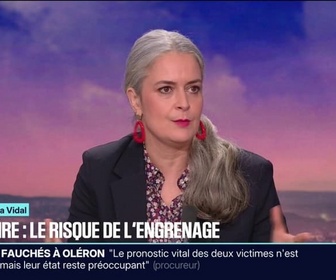 Replay 20H BFM - LE CHOIX D'ELSA VIDAL - Nucléaire: le risque de l'engrenage