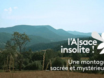 Replay L'Alsace insolite - 29/05/2026