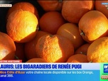 Replay Les longs formats des Locales - A Vallauris, le fruit magique du bigaradier