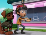 Replay Paw Patrol, la Pat'Patrouille - Mission Tout-Terrain : La cascade de Boomer