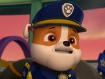 Replay Paw Patrol, la Pat'Patrouille - Sauvetage extrême : Mystérieuses disparitions