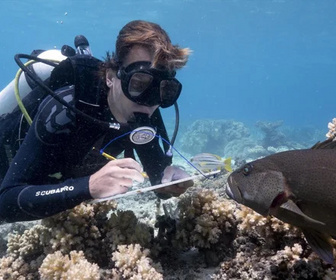 Replay Planète bleue - 28/12/2025