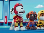 Replay Paw Patrol, la Pat'Patrouille - La Pat' Patrouille des Airs : Une cascade trop extrême