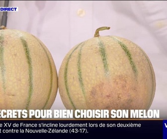 Replay Week-end première - Poids, pédoncule... Comment bien choisir son melon