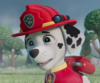 Replay Paw Patrol, la Pat'Patrouille - Mr Hellinger et l'oison