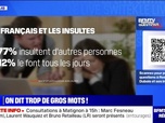 Replay Est-ce qu'on dit trop de gros mots en France? BFMTV répond à vos questions