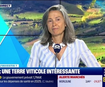 Replay Tout pour investir - Dans quoi j'investis ? : Corse, une terre viticole intéressante - 25/06