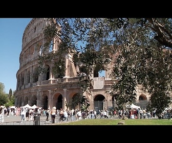 Replay Italie : Rome renoue avec sa production historique d'huile d'olive au Colisée