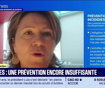 Replay Good Morning Business - Le Grand entretien : Incendies, la loi de 2023 à l'épreuve des mégafeux - 03/08