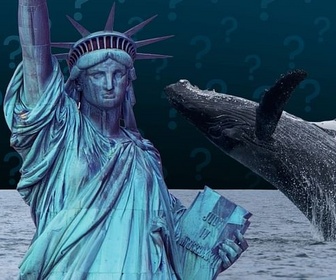 Replay Pourquoi la cohabitation avec les baleines pose problème à New York ?