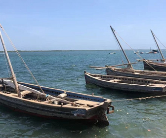 Replay Des trains pas comme les autres - 02/12/2025