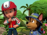Replay Paw Patrol, la Pat'Patrouille - Une bulle dans la jungle