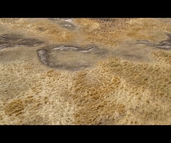 Replay Roumanie : plusieurs régions du pays touchées par une extrême sècheresse