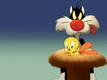 Replay Looney Tunes Cartoons - S1 E4 - La piscine