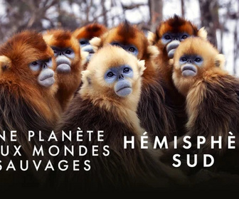 Replay Une planète, deux mondes sauvages - 21/10/2025