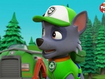 Replay Paw Patrol, la Pat'Patrouille - Dans la peau de Galinetta