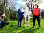 Replay Astrid et Raphaëlle - S5 E7 - On achève bien les jockeys