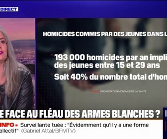Replay 20H BFM - LE CHOIX D'ELSA - Comment nos voisins européennes luttent-ils contre le fléau des armes blanches à l'école?