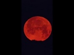 Replay Le Choix de Marie - Pourquoi la lune des fraises, qui a illuminé nos nuits ce week-end, porte-t-elle ce nom?