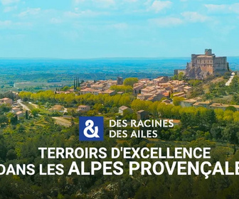 Replay Des Racines et Des Ailes