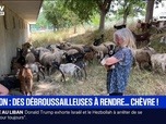 Replay BFM Première prématinale - BFM Première 4h30/6h - Mardi 2 juin 2026