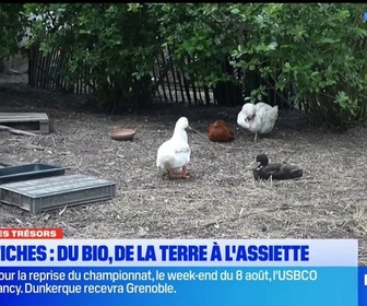 Replay Les longs formats des Locales - Au Nord ses Trésors 160626 - A Coutiches, du bio : du champ à l'assiette