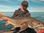 Replay Pêche XXL : derniers géants - Prédateurs de l'Arctique
