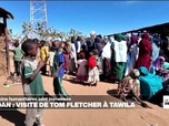 Replay Journal de l'Afrique - Soudan : l'ONU demande aux FSR de garantir la protection des civils à Tawila