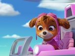 Replay Paw Patrol, la Pat'Patrouille - Le portrait de la Mini Patrouille