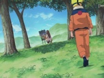 Replay Naruto - Episode 203 - La Décision de Kurenaï
