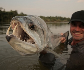Replay Pêche XXL - S2E9 - Terrifiantes machoires