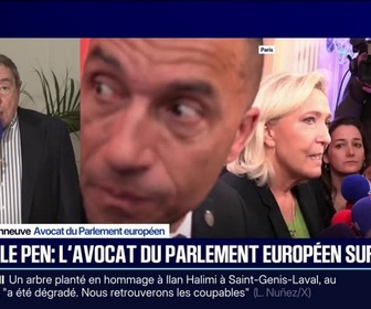 Replay 20H BFM - Procès en appel du RN: On a volé cet argent pour faire fonctionner le parti Front National à ce moment-là, assure Me Patrick Maisonneuve, avocat du Parlement européen
