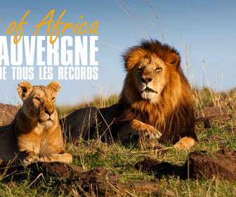 Replay Out of Africa en Auvergne, le zoo de tous les records