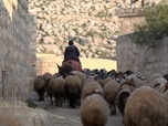 Replay ARTE Journal - En Syrie, le calvaire des Yézidis n'est pas terminé