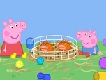 Replay Peppa Pig - S9 E38 - Les cochons d'inde