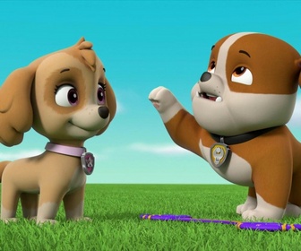 Replay Paw Patrol, la Pat'Patrouille - Le sauvetage des parachutistes