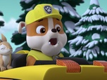 Replay Paw Patrol, la Pat'Patrouille - Le bébé caribou